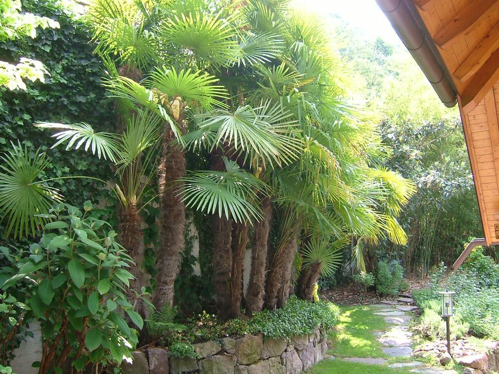 Villa Sissi Laives Exterior foto